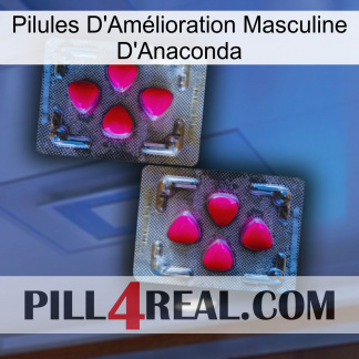 Anaconda Male Enhancement Pills 15